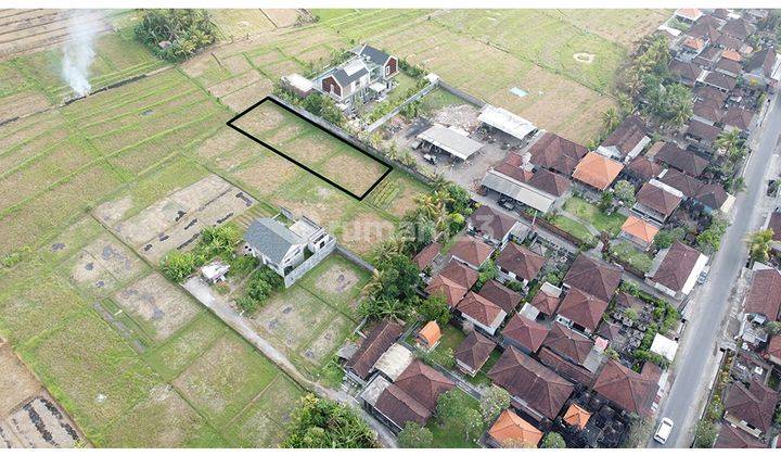 Medium Land Nyanyi Good For Villa With Rice Field View 1