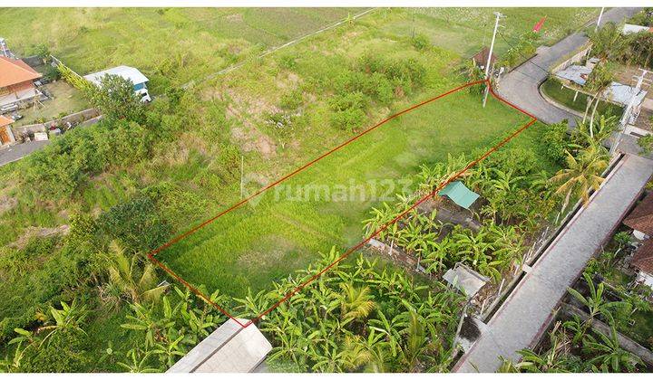 Land Good For Villa Near From Tanah Lot Beach 2