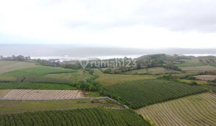 Ricefield Land Walking Distance To The Beach 1