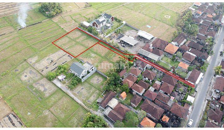 Medium Land Nyanyi Good For Villa With Rice Field View 1