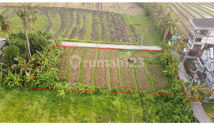 Land Good For Villa Near From Nyanyi Beach