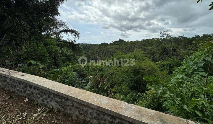 Tanah Premium View Hutan Dan Sungai Di Sayan Ubud Bali 2