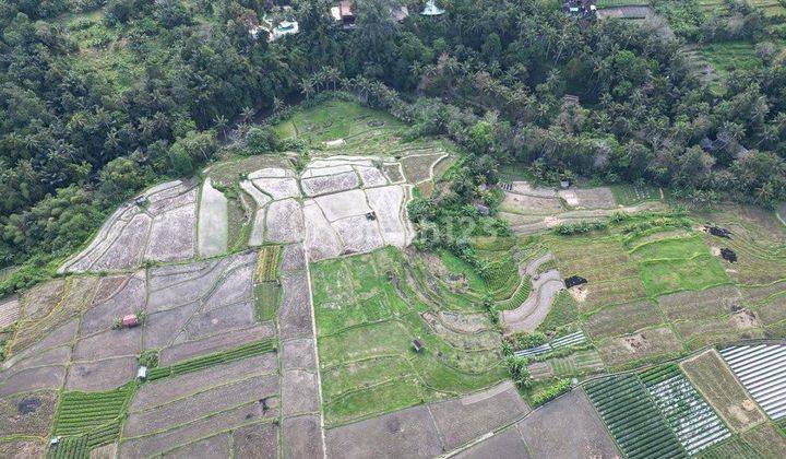 Tanah Kavking Siap Bangun View Sawah Terasering Dan Sungai Di Semana Ubud Bali 2