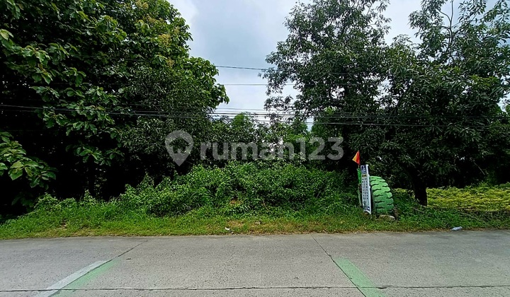 Tanah Murah Cocok Untuk Pabrik Gudang Di Jln Raya Dawarblandong Mojokerto Dekat Menganti Dan Sby 1