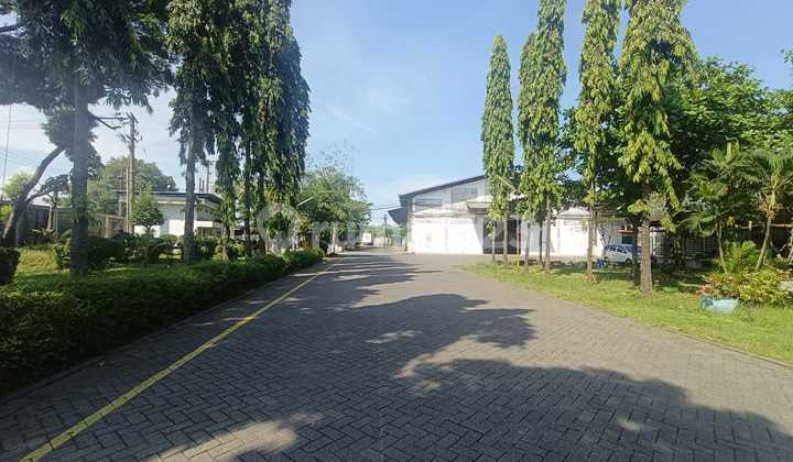 Strategic Warehouse Near Waru Roundabout Toll, Sturdy Building, Neat and Clean Environment, Flood-Free