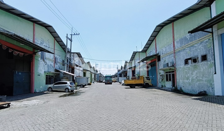 Strategic Cheap Warehouse in Buduran Industrial Area, East Ring Road Sidoarjo Strategic Cheap Warehouse in Buduran Industrial Area, East Ring Road Sidoarjo