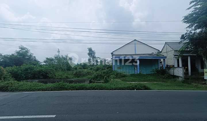 Tanah Murah Bonus Ruko Strategis Jl Raya Provinsi Dekat Pasar Balongpanggang Gresik Tanah Murah Bonus Ruko Strategis Jl Raya Provinsi Dekat Pasar Balongpanggang Gresik