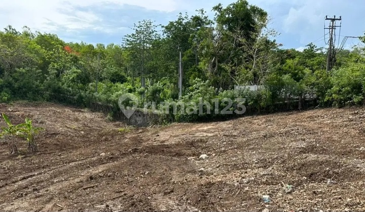 Cheap Land on Main Road, Blimbingsari Pecatu Bali, Near Savaya, Suitable for Hotels and Villas
