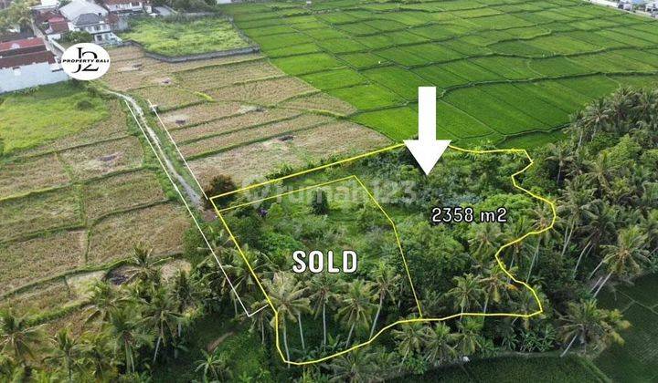 Land View Rice Fields And River In Lodtunduh Near Ubud Center 2