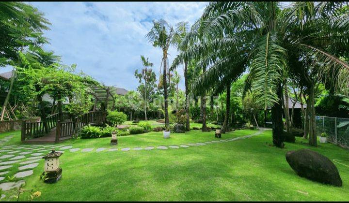 Villa Mewah Bergaya Bali Modern Dekat Pantai Di Canggiu Bali 2