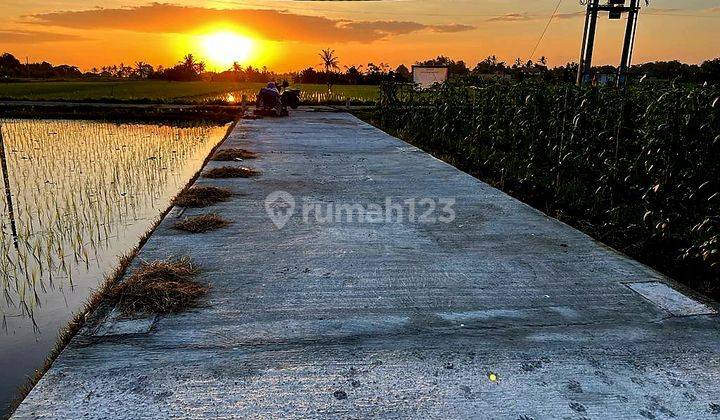 Tanah Kavling Villa Murah Dekat Pantai Kedungu Bali Dg View Sawah 2