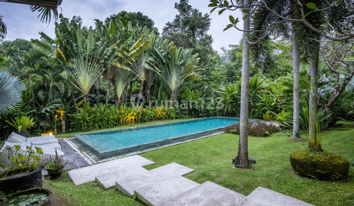 Villa Murah Yg Mewah Dg Taman Dan View Bagus Di Area Canggu Bali 2