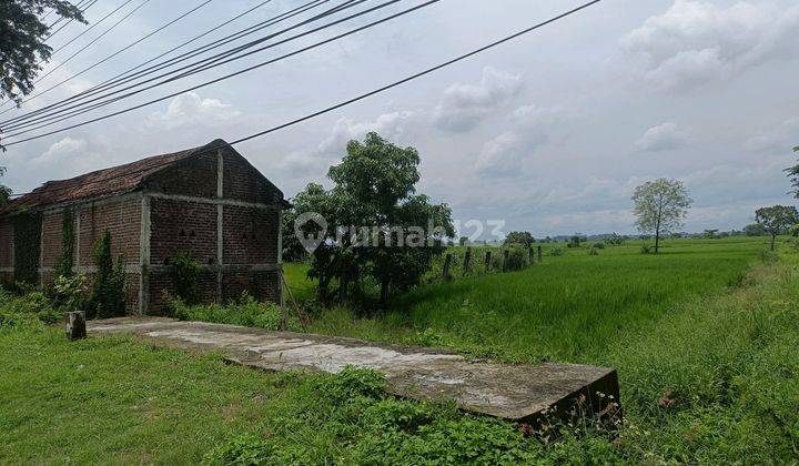 Tanah Murah Nol Jl Raya Besar Balongpanggang Gresik Cocok Utk Usaha Atau Untuk Pabrik Dan Gudang Dekat Mojokerto Dan Dekat Surabaya  1