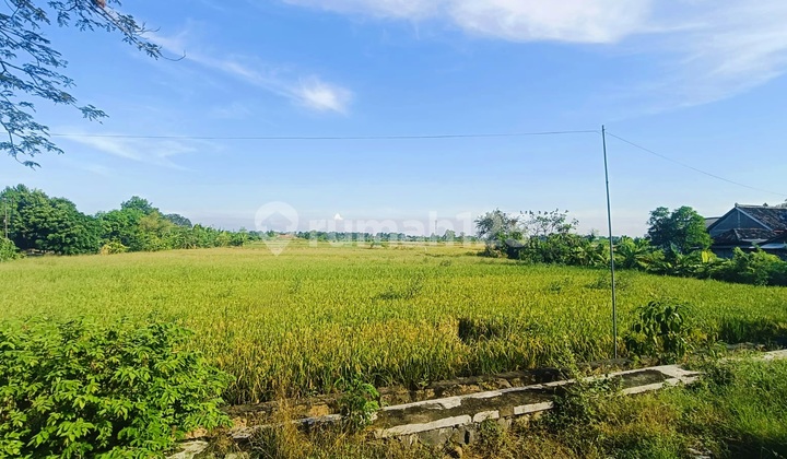 Commercial Area Cheap Land on Main Road Near Balongpanggang Market, Suitable for Shophouses and Warehouses.