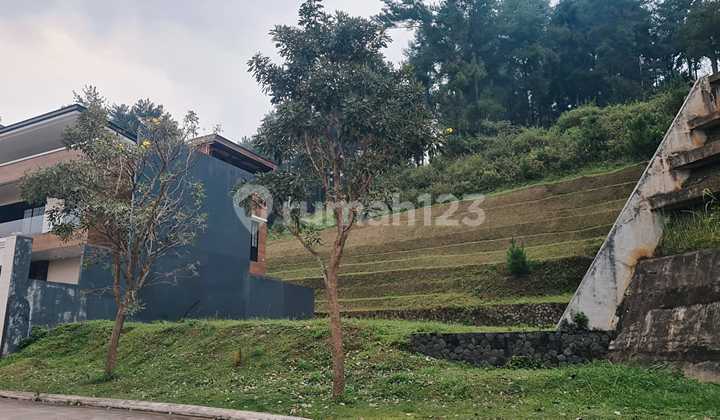 Tanah Murah Butuh Cepat Laku Lingkungan Mewah Taman Dayu Pandaan Tanah Murah Butuh Cepat Laku Lingkungan Mewah Taman Dayu Pandaan