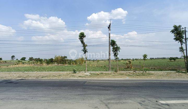 Tanah Murah Ukuran Kecil Strategis Nol Jl Raya Provinsi Mantup Cocok Untuk Tempat Usaha, Pertokoan Dan Industri  1