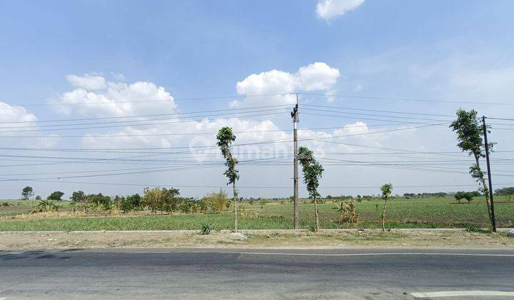 Tanah Paking Murah Di Jl Raya Mantup Lamongan Cocok Utk Gudang Dan Tempat Usaha  1