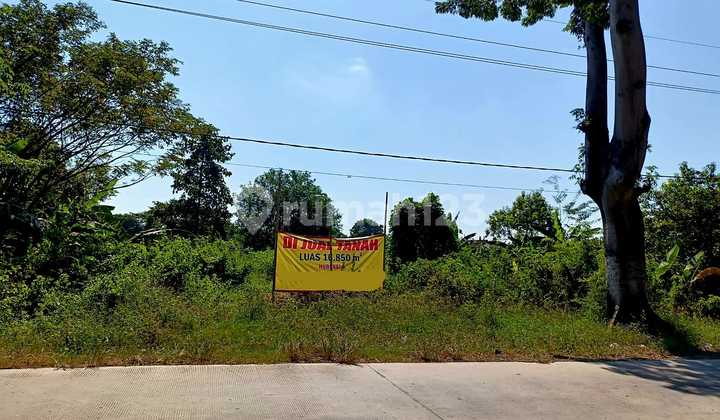 Tanah Industri Murah Jl Raya Area Kraton Dekat Pier Pasuruan