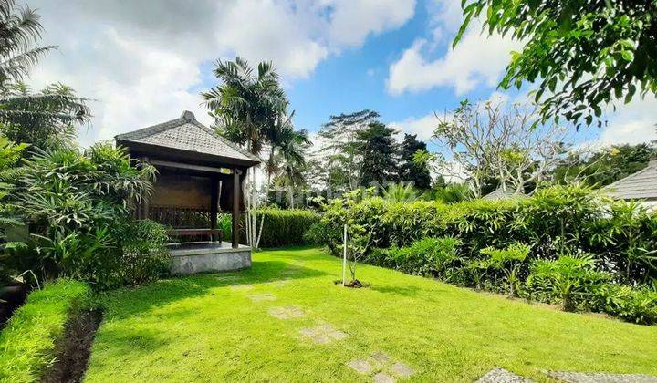 Villa Murah Dg Taman Luas Dan View Cantik Dekat Ubud Bali  1