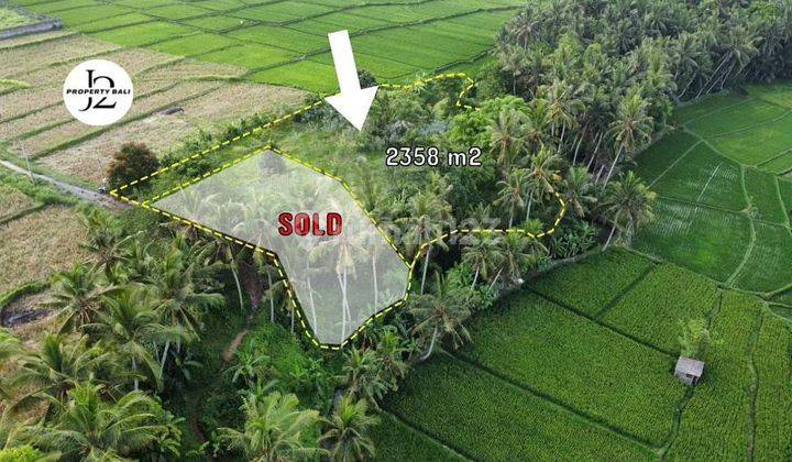 Land View Rice Fields And River In Lodtunduh Near Ubud Center 1