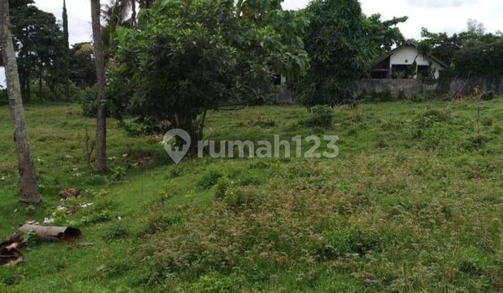 Tanah murah, strategis dekat pantai Saba Denpasar, cocok untuk villa resort, beachclhb dan hotel 4