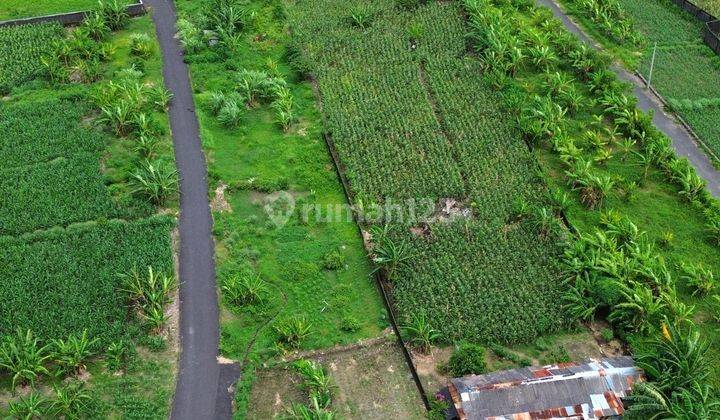 Kavling villa murah di kawasan wisata Sanur dekat pantai 1