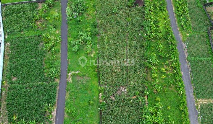 Kavling villa murah di kawasan wisata Sanur dekat pantai 5