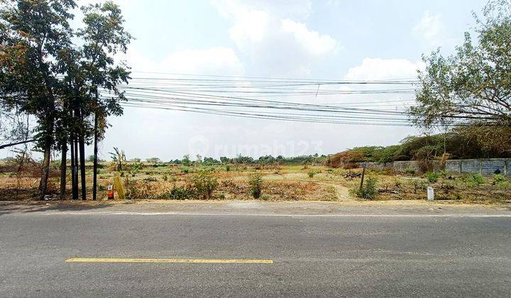 Tanah Strategis Nol Jl Raya Provinsi Cerme Dekat Tol Dan Surabaya Sudah Urug Tinggi Siap Bangun Cocok Utk Pabrik Gudang Komersial Dan Parkir Kontainer