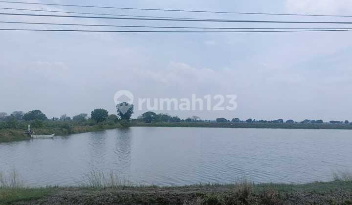 Guaranteed Cheapest Industrial Land in Manyar Gresik, Main Road, Near Jiipe Port