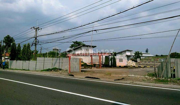 Tanah Murah Raya Mantup Lamongan Cocok Utk Tempat Usaha, Parkir, Gudang  1