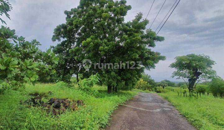 Tanah Murah View Gunung Dan Laut Di Tulamben Karang Asem Bali Cocok Untuk Villa Resort Dan Hotel 2