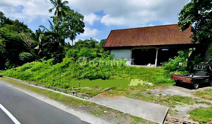 Tanah Murah Jln Raya Kedungu Dg View Sawah Dan Sungi Dekat Canggu 1