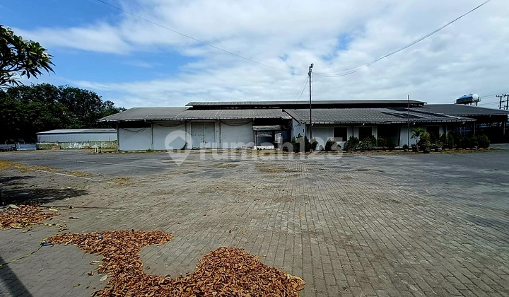 Factory Warehouse Stock Rare Good Condition Rungkut Industrial Sby Factory Warehouse Stock Rare Good Condition Rungkut Industrial Sby