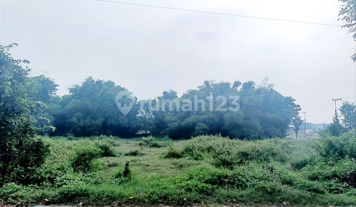 Barang Murah Tanah Jl Raya Kawasan Industri Mojoasri Cocok Utk Gudang Pabrik