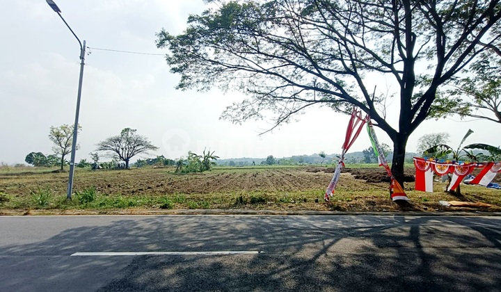 Tanah Industri Murah Jln Raya Mantup Cocok Utk Pabrik Gudang Tanah Industri Murah Jln Raya Mantup Cocok Utk Pabrik Gudang