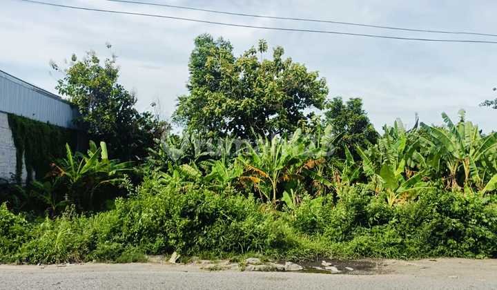 Tanah Strategis Nol Jl Raya Ringroad Mojoagung Cocok Utk Ruko & Gudang Tanah Strategis Nol Jl Raya Ringroad Mojoagung Cocok Utk Ruko & Gudang