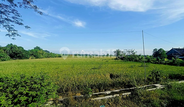 Cheap Land Zero Jl Raya Balongpanggang Near Surabaya &amp; Mojokerto Suitable for Warehouses or Business Premises