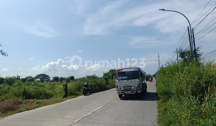 Tanah Murah Kawasan Industri Manyar Gresik Posisi Nol Jln Raya Tanah Murah Kawasan Industri Manyar Gresik Posisi Nol Jln Raya