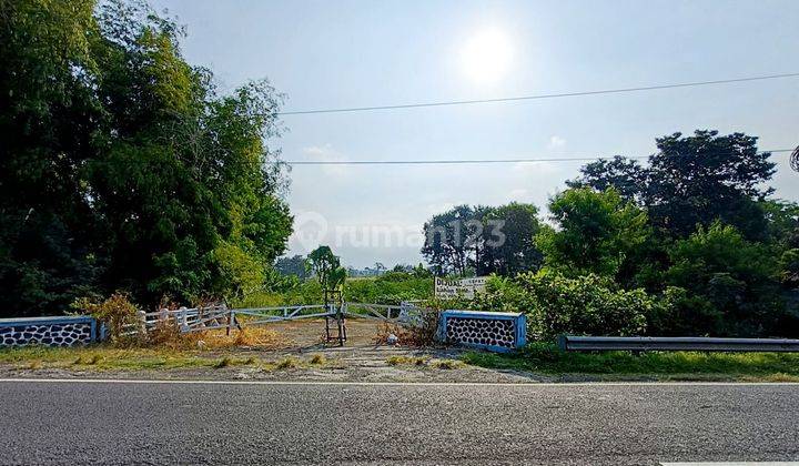 Tanah Murah Raya Provinsi Purwodadi Surabaya Malang Dekat Tol Cocok Utk Tempat Usaha Dan Oabrik Gudang 1