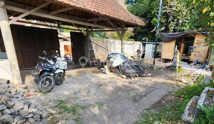 Tanah Paling Murah View Hutan Di Tiying Tutul Pererenan Bali Cocok Untuk Villa 1