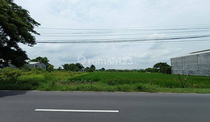 Tanah Murah Cocok Untuk Gudang Pabrik Jl Raya Provinsi Balongpanggang Dekat Mojokerto Dan Surabaya 1