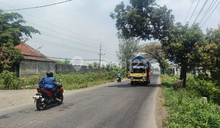 Tanah Siap Huni Sudah Urug Tinggi Dan Berpagar Cocok Utk Pabrik Gudang Di Kawasan Industri Mojoagung Jombang Tanah Siap Huni Sudah Urug Tinggi Dan Berpagar Cocok Utk Pabrik Gudang Di Kawasan Industri Mojoagung Jombang