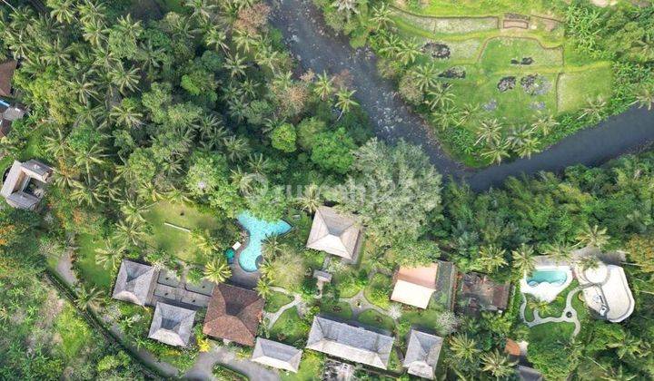 Tanah Shm Murah Siap Bangun Di Ubud Dg View Sawah Terasering 2