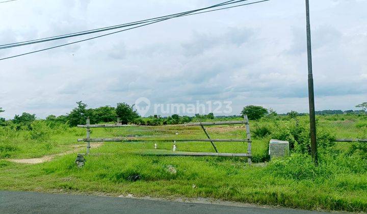 Tanah Murah Raya Benjeng Gresik Dkt Sby Cocok Utk Pabrik Gudang  1