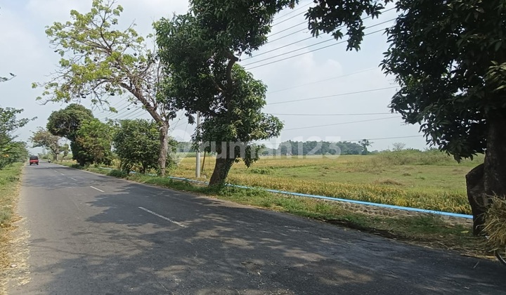 Cheap Factory Land on Jl Raya Akses Kontainer Mojoagung Jombang