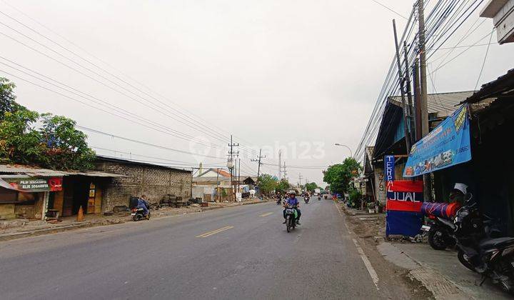 Tanah Cocok Utk Pabrik Gudang Di Manyar Dekat Tol Dan Pelabuhan  2