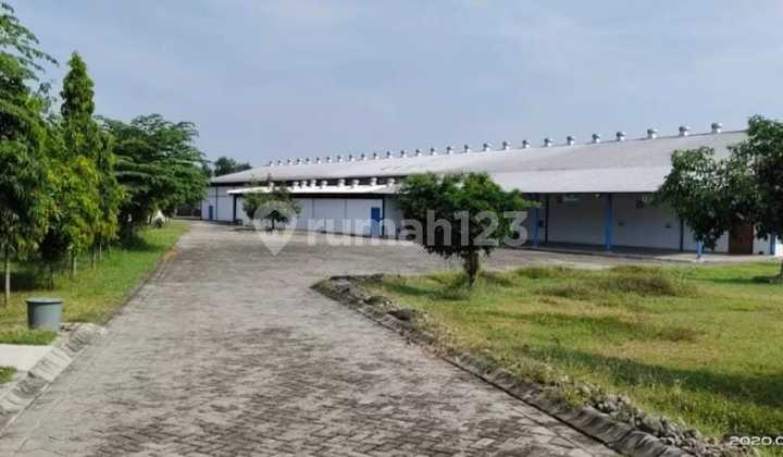 Pabrik Roti Siap Pakai Nganjuk Dekat Tol Umr Murah