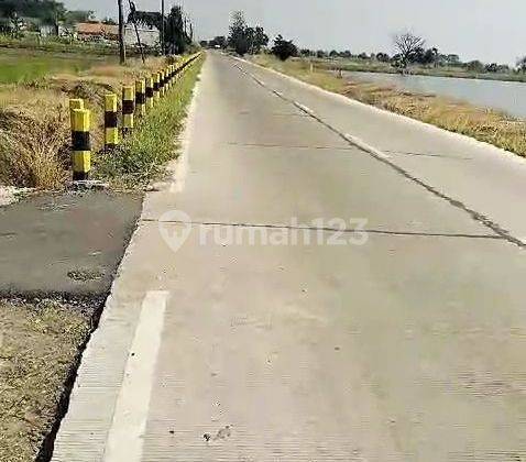 Tanah Paling Murah Nol Jl Raya Cerme Dekat Tol Dan Surabaya Zona Kuning Cocok Utk Ruko Perumahan Dan Gudang  2