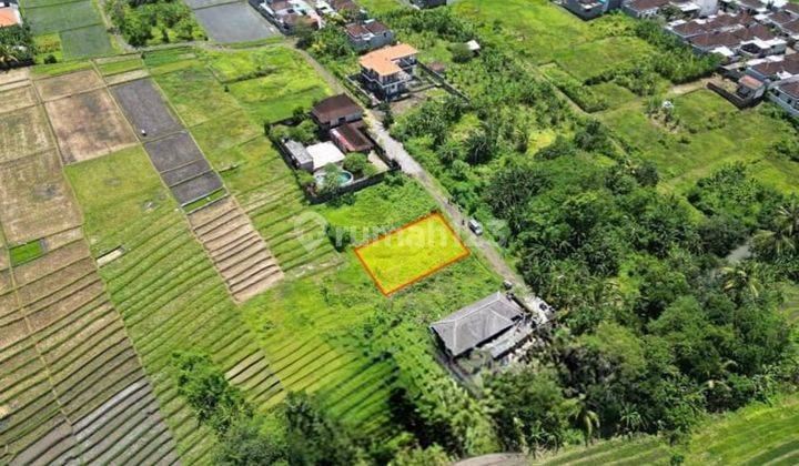 Tanah Murah Lokasi Prima Cocok Utk Villa Di Kedungu Dekat Canggu 1