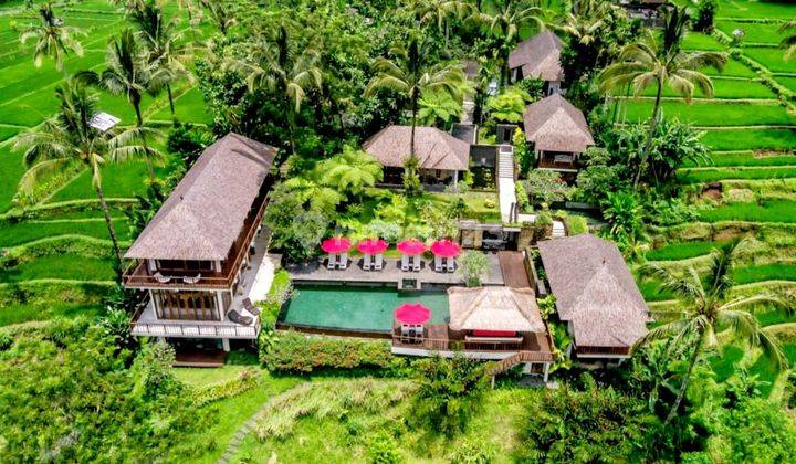 Cheap Villa With Mountain And Valley View In Payangan Ubud Bali 1